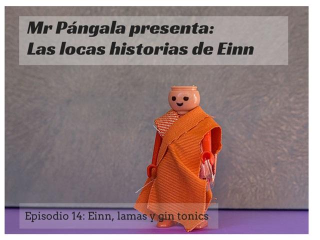 Einn lamas y gintonics