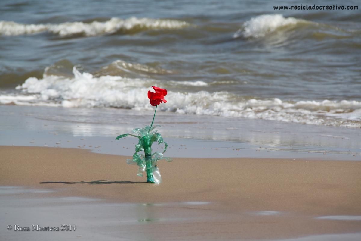 Rosa Montesa. Upcycling