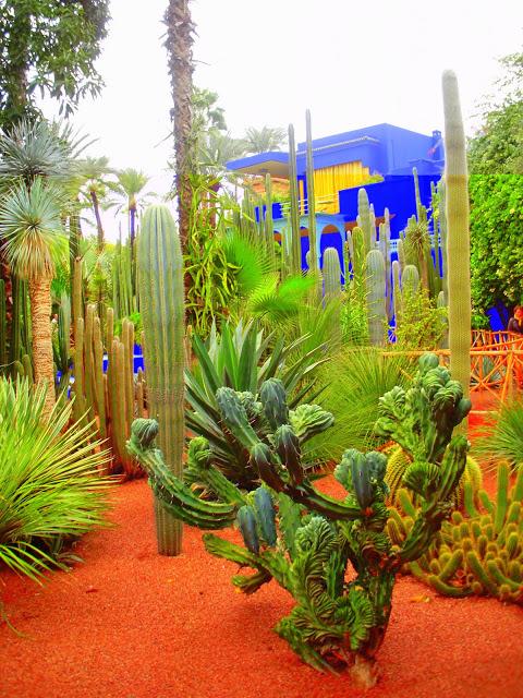 jardines_majorelle