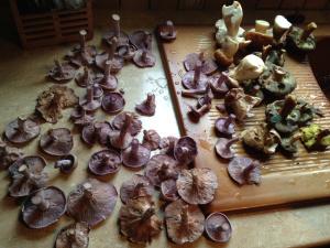 Foto 26-10-14 13 51 00