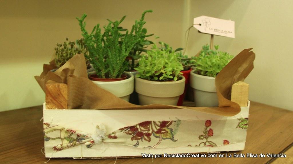 La Bella Elisa flores y eventos visto por Reciclado Creativo