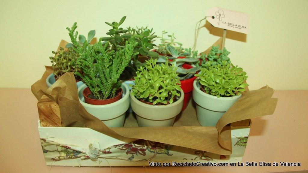 La Bella Elisa flores y eventos visto por Reciclado Creativo