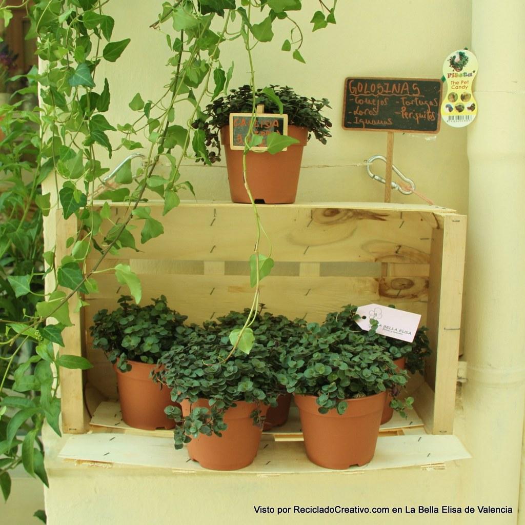 La Bella Elisa flores y eventos visto por Reciclado Creativo