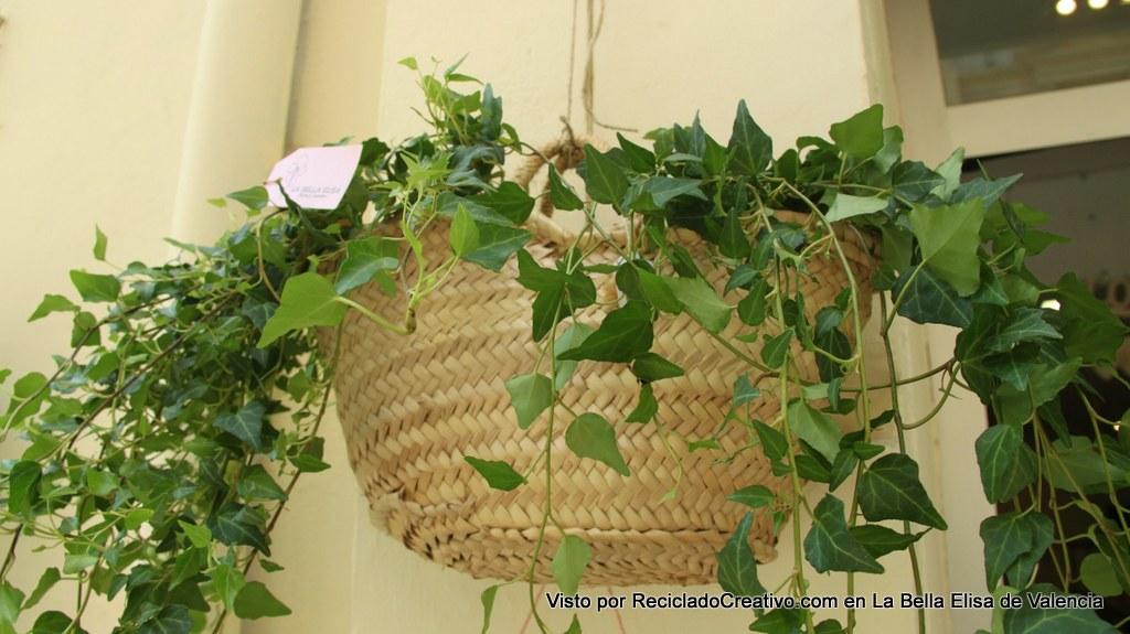 con capazos de paja en La Bella Elisa Visto por Reciclado Creativo