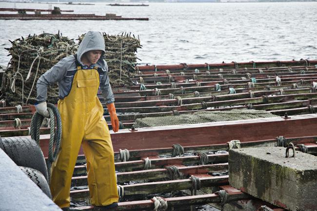 anfaco bateas2 ANFACO, descubriendo la gastronomía en conserva