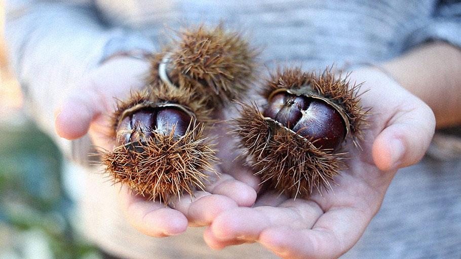 Lilu Ceramics en el Welcome Autumn de Gang and the Wool