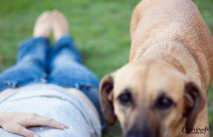 Bienvenido noviembre | Esturirafi