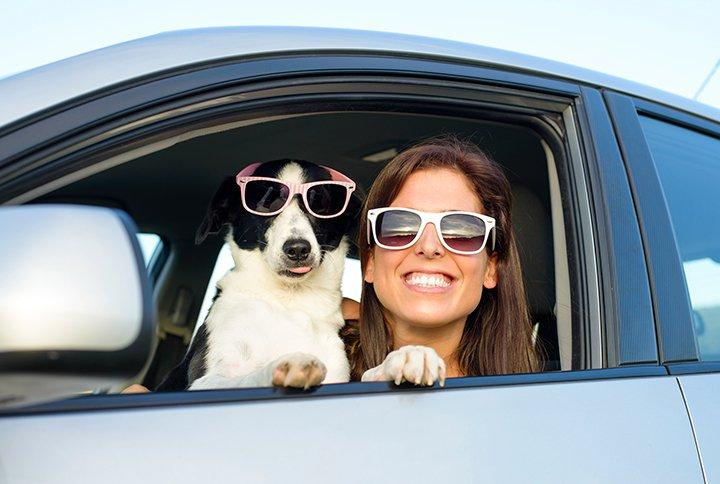 viajar con perro en coche