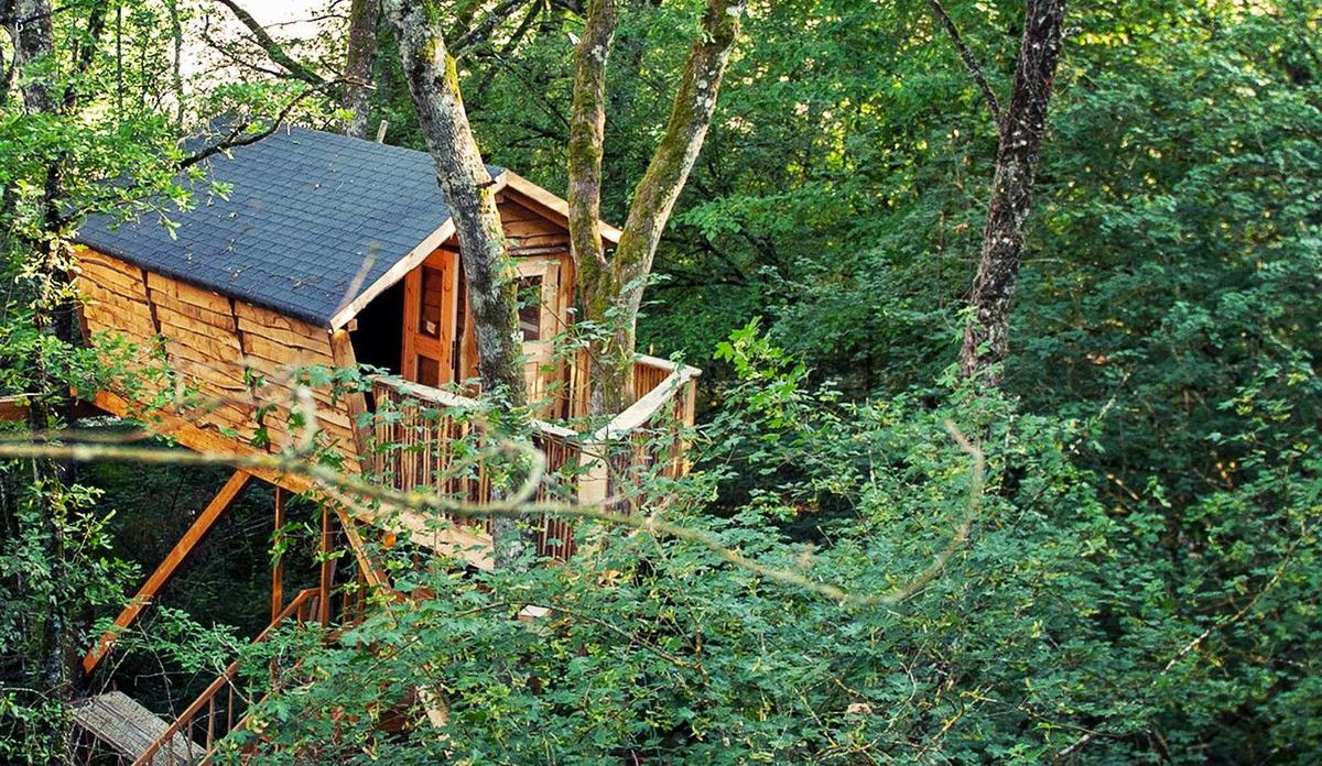 Hoy dormimos en el bosque....... | Decoración