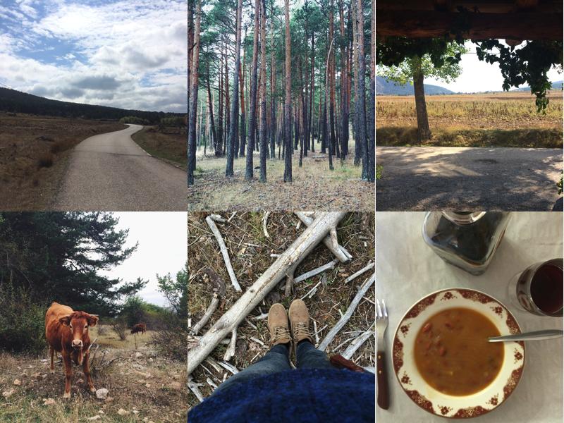 Paseando por las montañas de Orea, Guadalajara