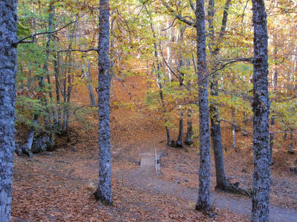 Puente que atraviesa el Arroyo del Castañar