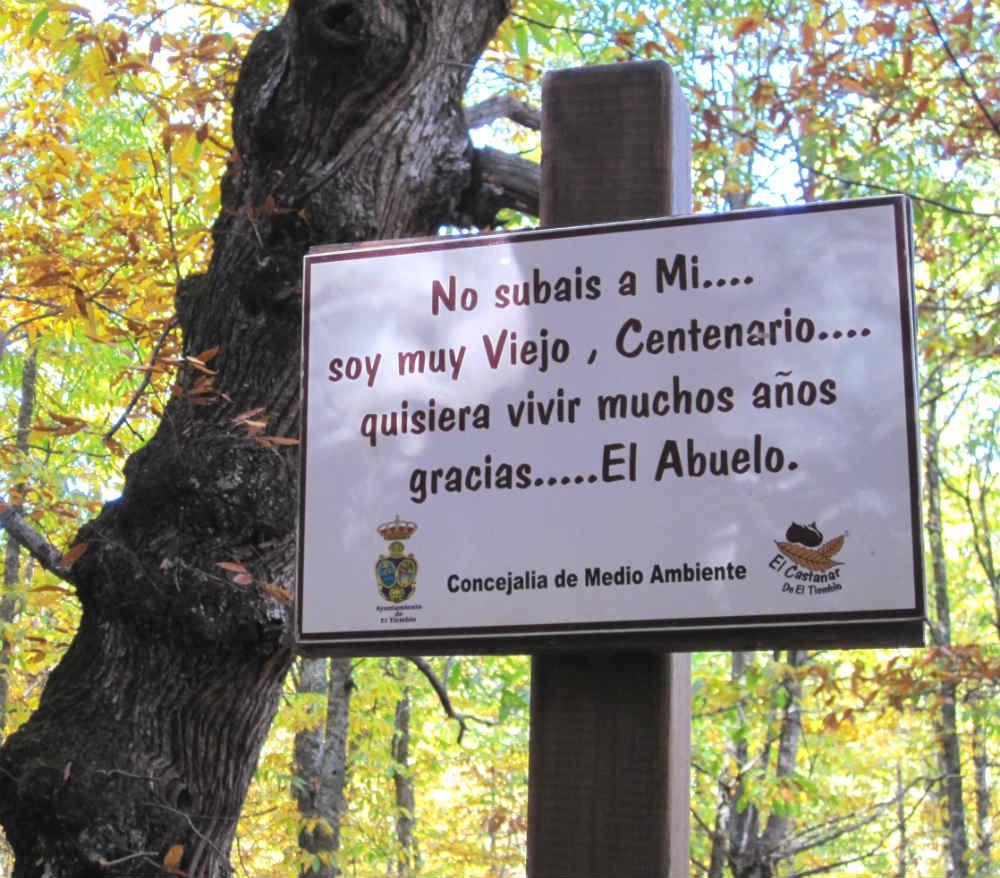 "No subáis a mi... Soy muy viejo, centenario... quisiera vivir muchos años. Gracias... El Abuelo"