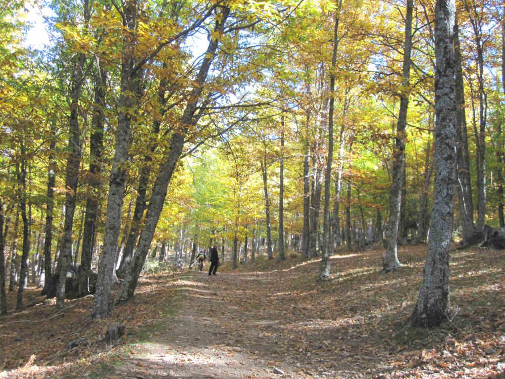 Llegando al fin de la ruta