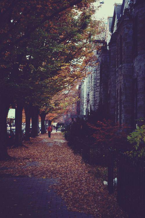 2539b66bc0508a9565e2a4b57c53d007