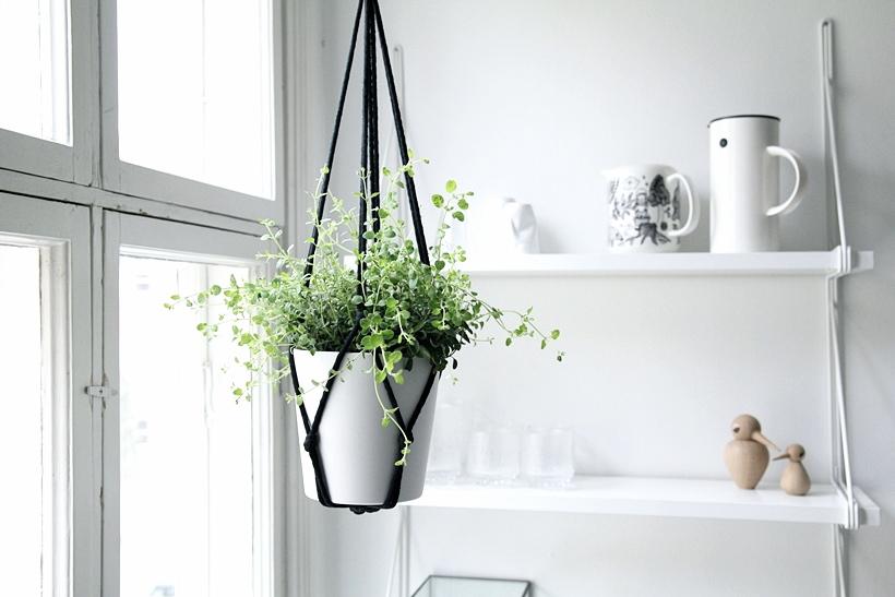 armonioso-comedor-02