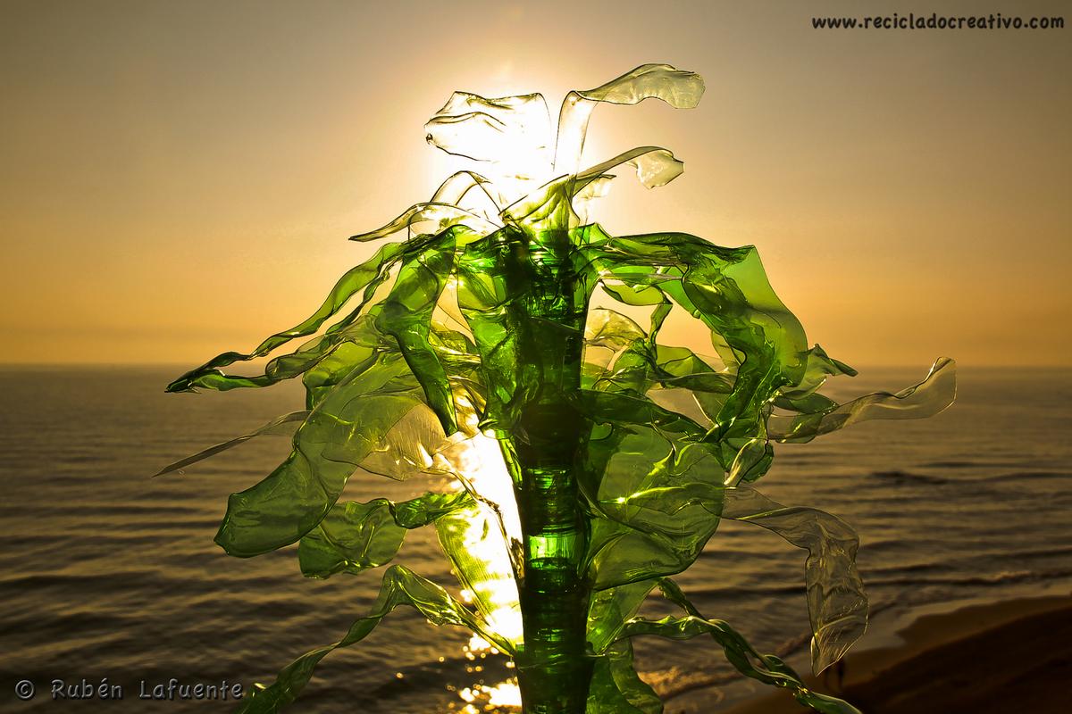 Ruben Lafuente, Reciclado Creativo. Concurso de fotografía Upcycling