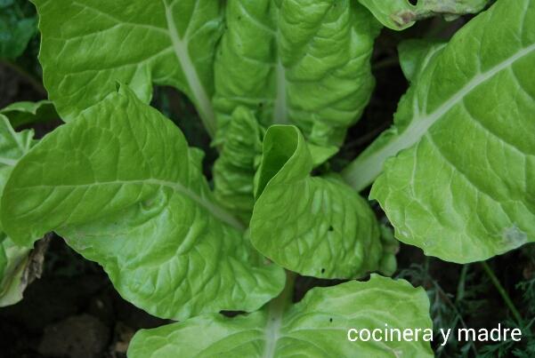 IMG_20141107_103555(1)