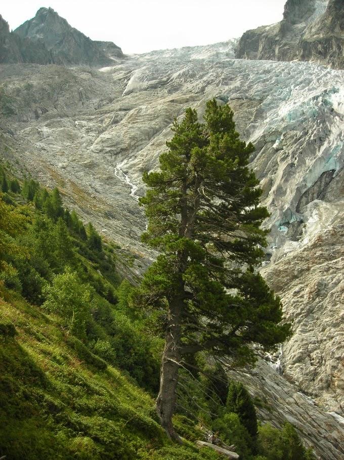 Glaciar-de-Trient-en-Suiza