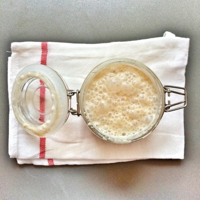 IMG 5672 680x680 Cómo hacer masa madre paso a paso