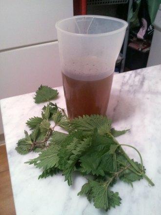 ortiga-romero-tonico