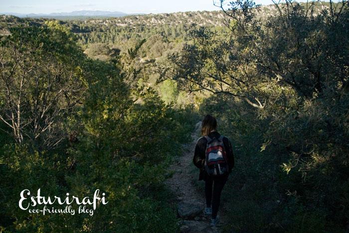 Senderismo ruta Pic Saint Loup