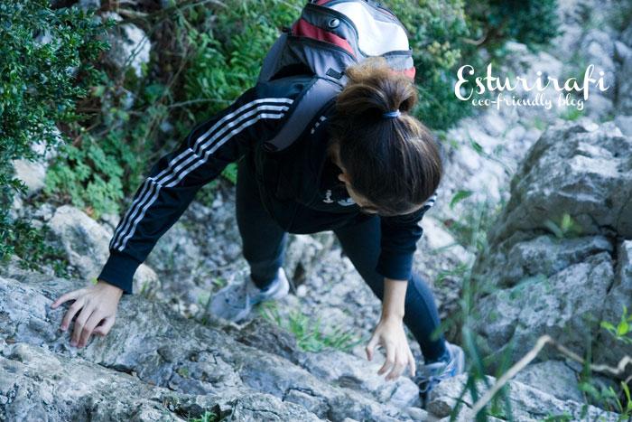 Senderismo ruta Pic Saint Loup