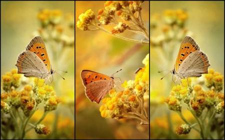 simbologia del color amarillo