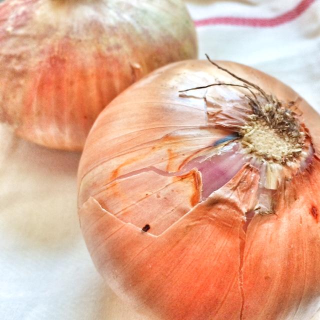 IMG 5693 Cebolla de Figueras y su uso en la cocina