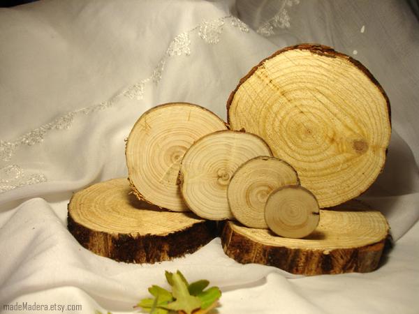 wood slices