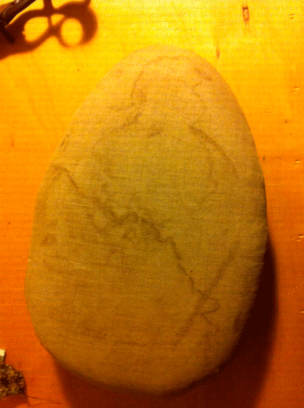 colocacion-plastron-f121