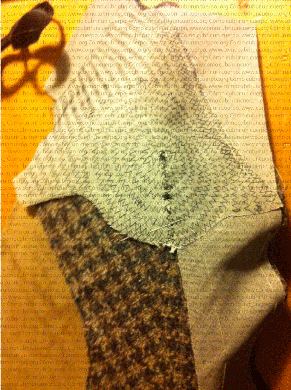 colocacion-plastron-f22