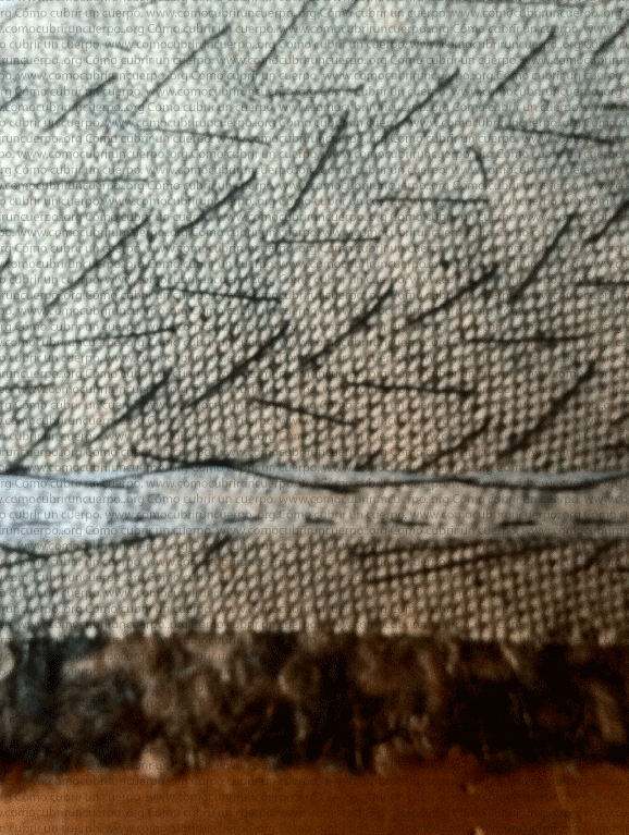 colocacion-plastron-f29