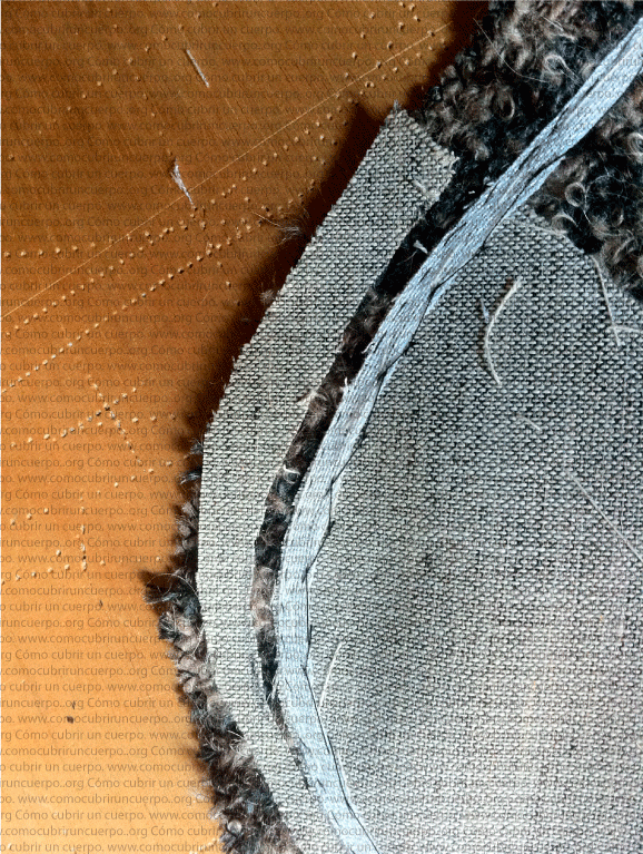 colocacion-plastron-f30