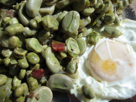 habas-con-jamon-y-huevos-fritos-