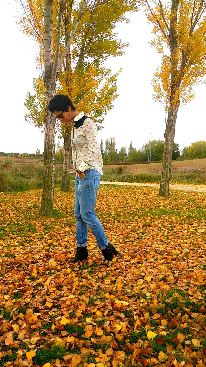 Caballitos en el campo