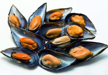 mejillones-1