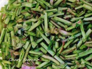 TORTILLA DE TAGARNINAS