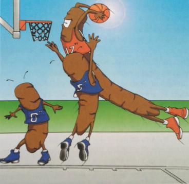 Cortesía del Instituteo C.H.E.K. (Cómo comer, moverse y ser sano)