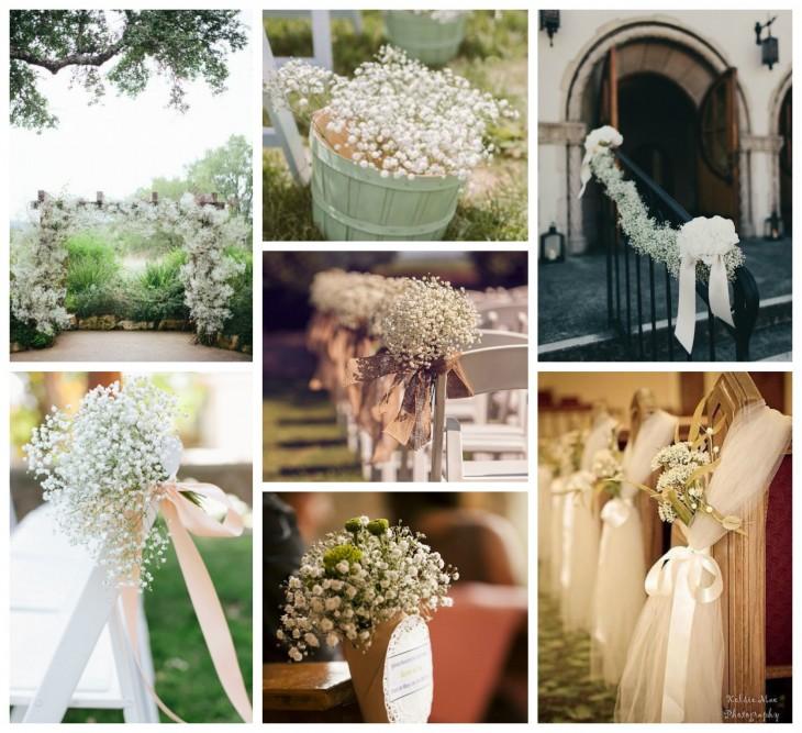 paniculata para decorar