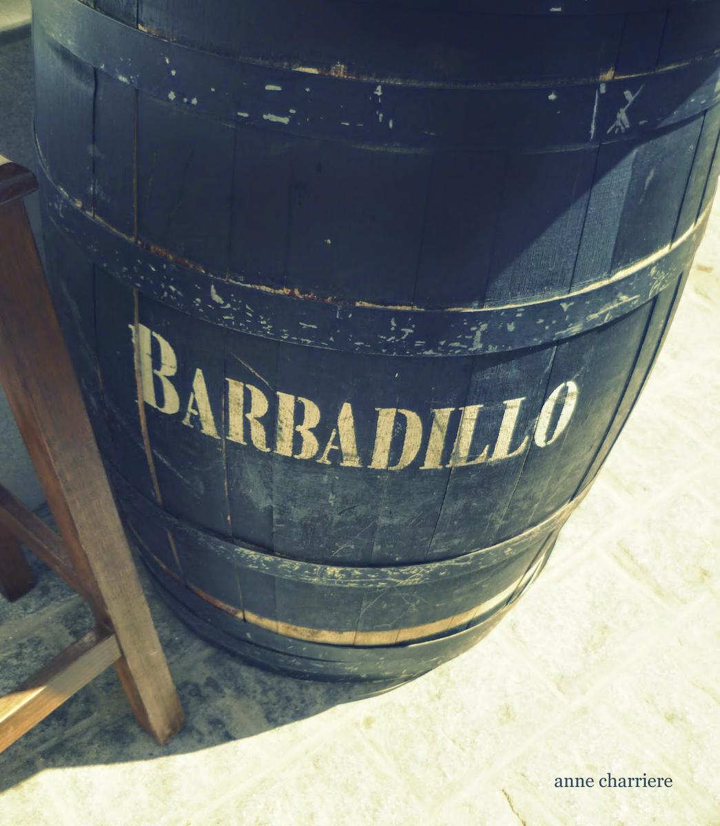 anne charriere, encanto, andalucia, charming, 