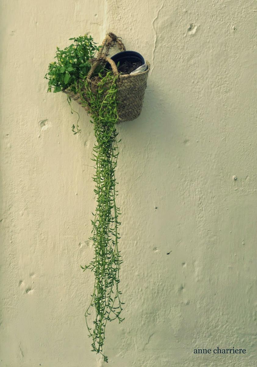 anne charriere, encanto, andalucia, charming, 