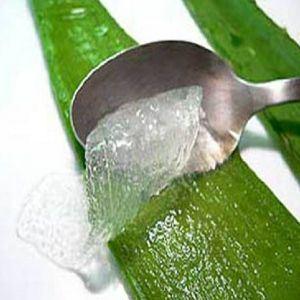 hacer-gel-aloe-vera