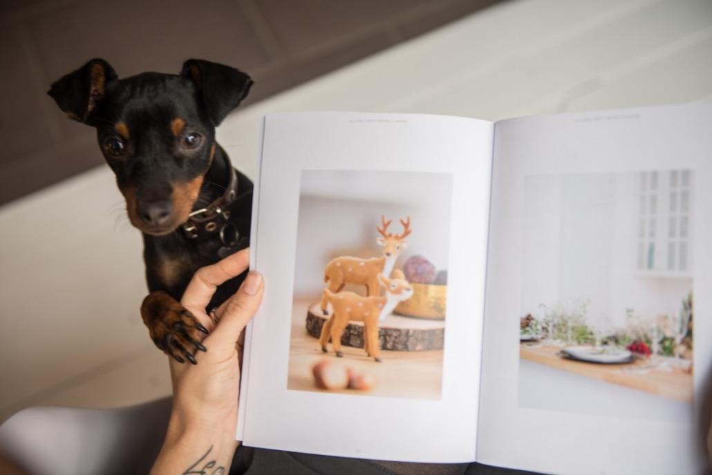 decora tu navidad Edición Especial