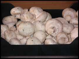 Champiñones Hojaldre relleno con champiñón al ajillo