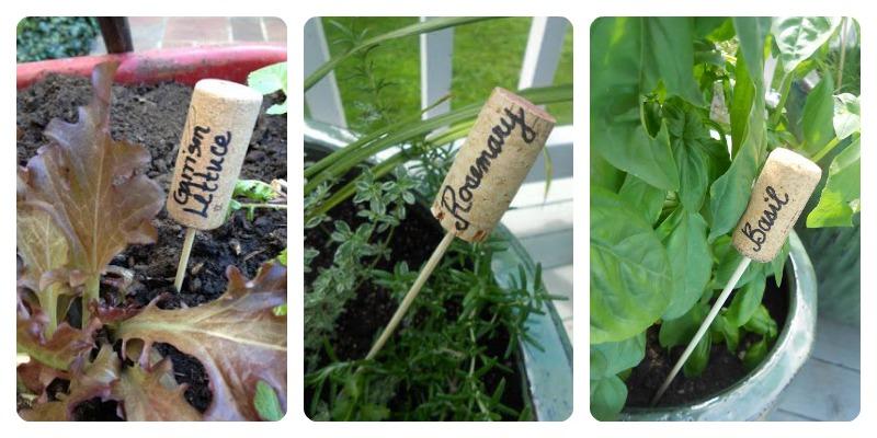 tapones de corcho para marcar el jardín