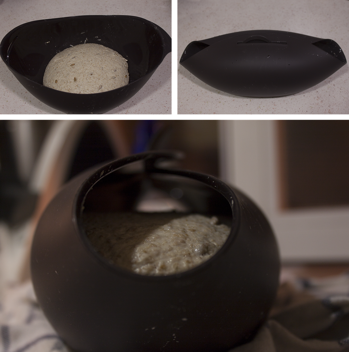 Pan trigo y khorassan PaP 2