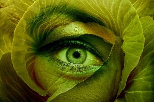 Receta de crema de repollo