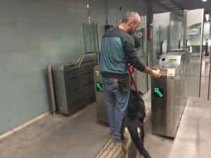 cachorro en el metro Barcelona