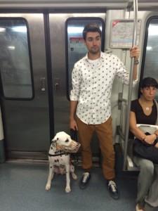 dalmata dentro metro Barcelona