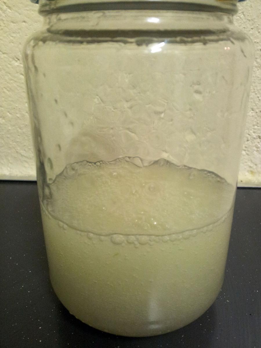 gel-aloe-vera-casero